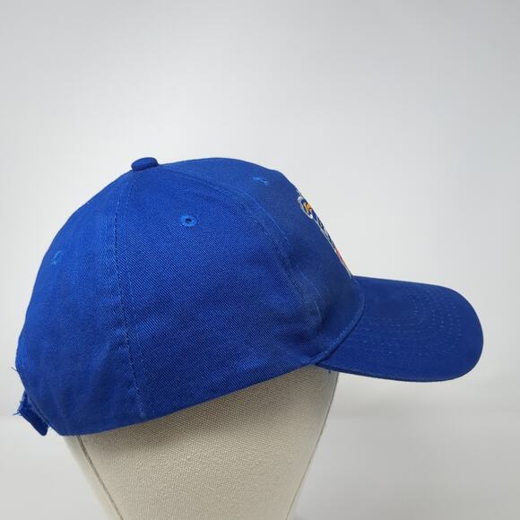 2016 Torch Run 30th Anniversary Strapback Baseball Cap Blue One Size BWM Global - Picture 5 of 10